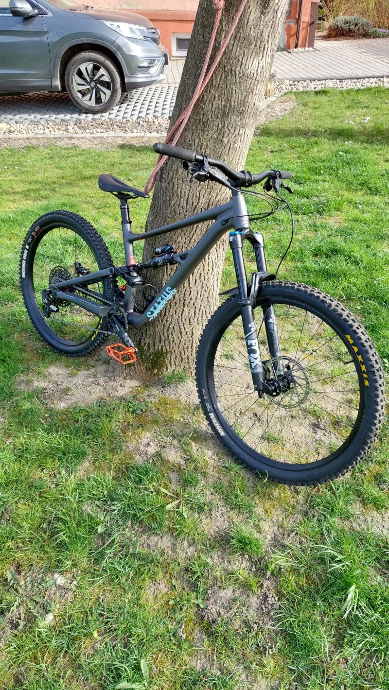 Specialized status
