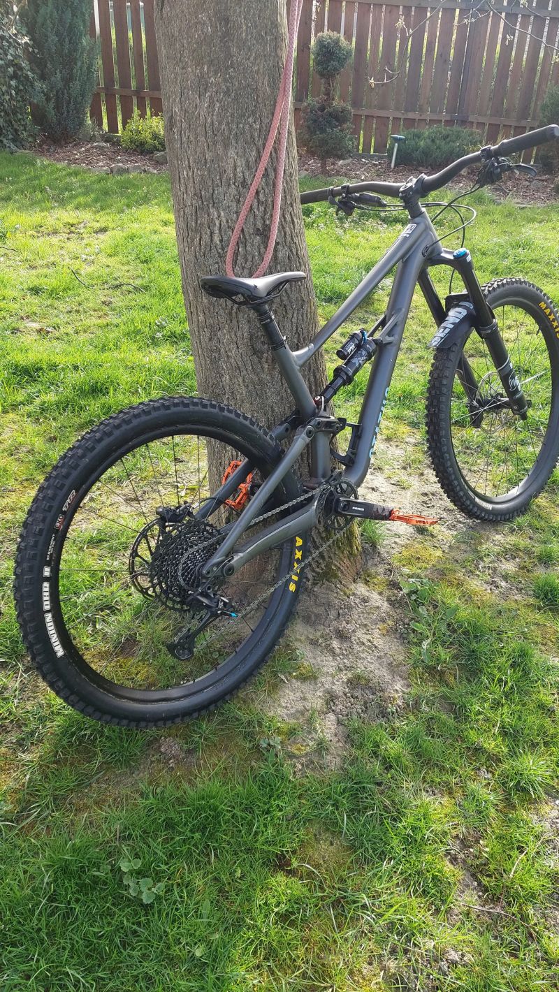 Specialized status