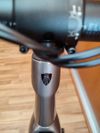 Trek Trek Domane SL 5