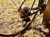 Boardman SLR 8.9