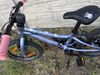 Scott Contessa 16