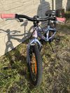 Scott Contessa 16