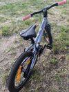 Scott Contessa 16