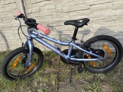 Scott Contessa 16