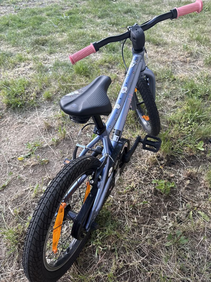 Scott Contessa 16