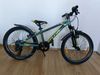 Kellys Lumi 50 (20”)