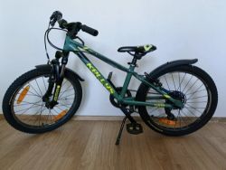 Kellys Lumi 50 (20”)