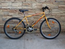 Olpran Falcon Junior 24