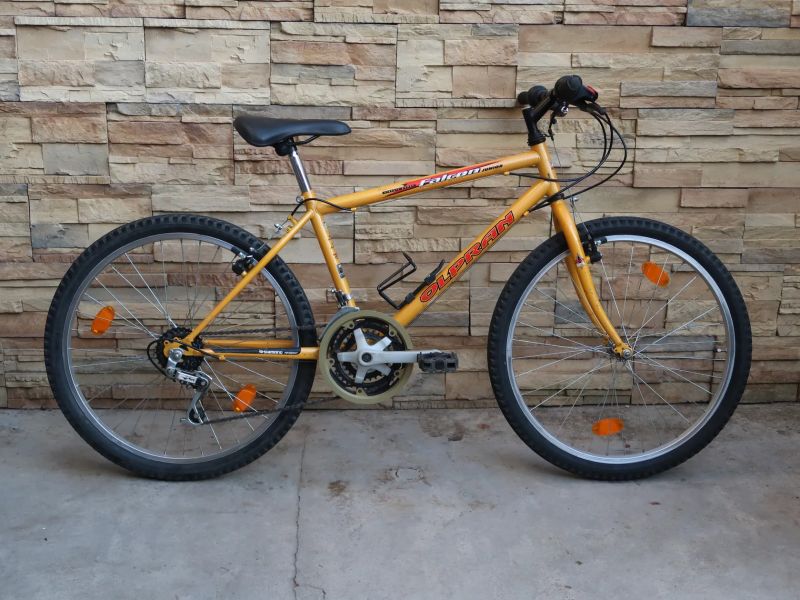Olpran Falcon Junior 24