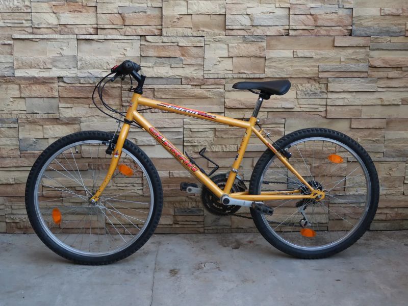 Olpran Falcon Junior 24