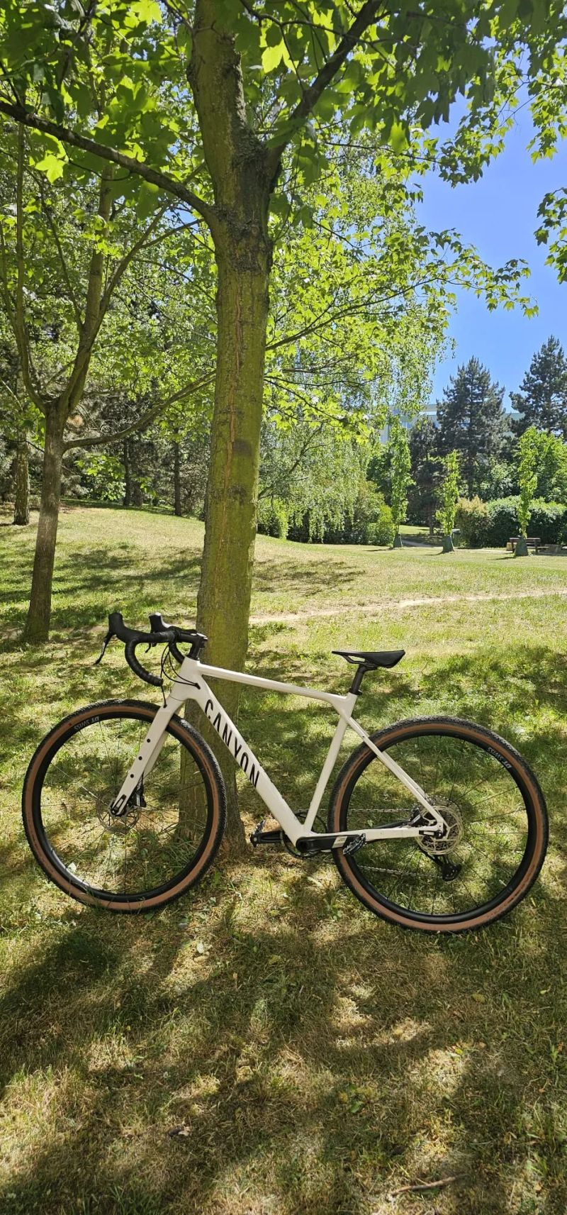 Canyon Grizl 7