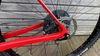 Pells Duke race red