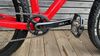 Pells Duke race red