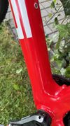 Pells Duke race red