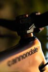 Cannondale Jekyll 1
