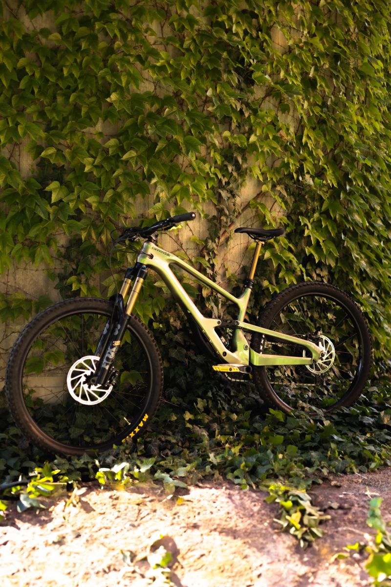 Cannondale Jekyll 1