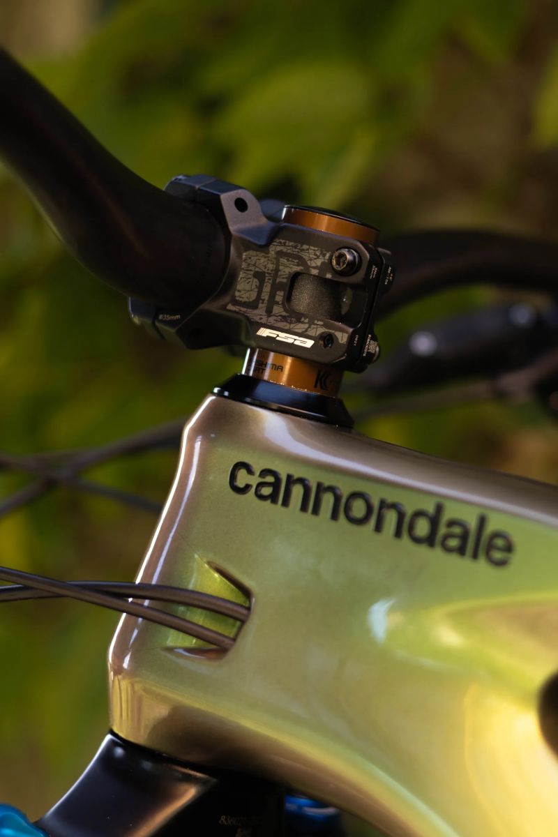 Cannondale Jekyll 1