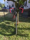Specialized Allez