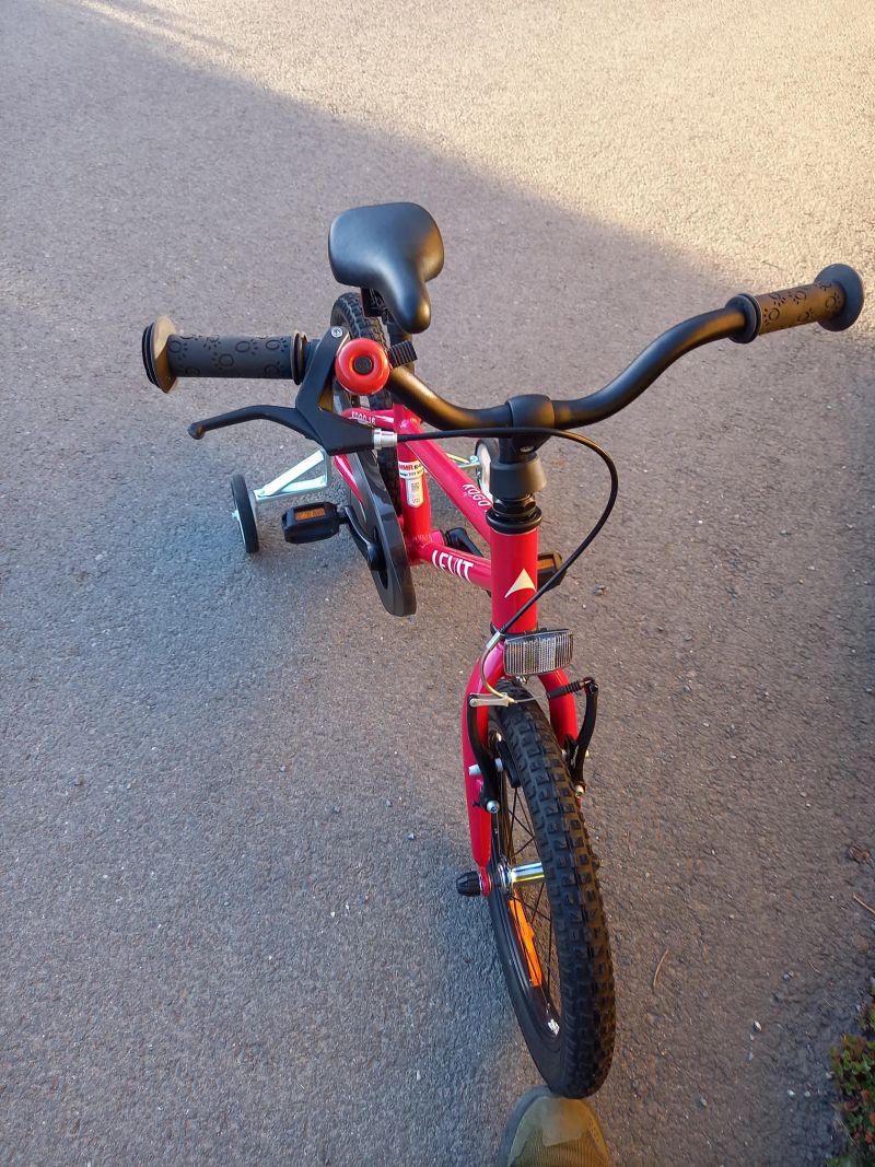 Kogo Levit 16'"