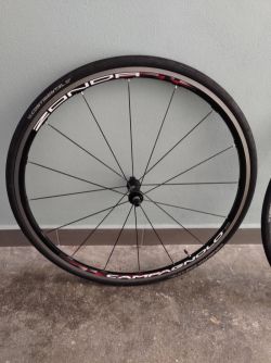 Prodám Campagnolo Zonda C15