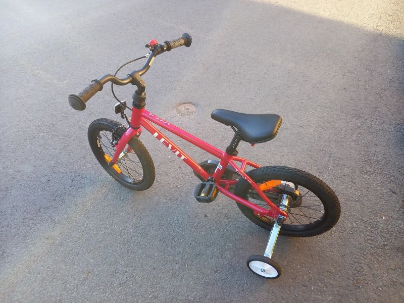 Kogo Levit 16'"