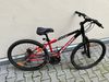 Schwinn
