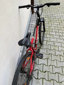 Schwinn