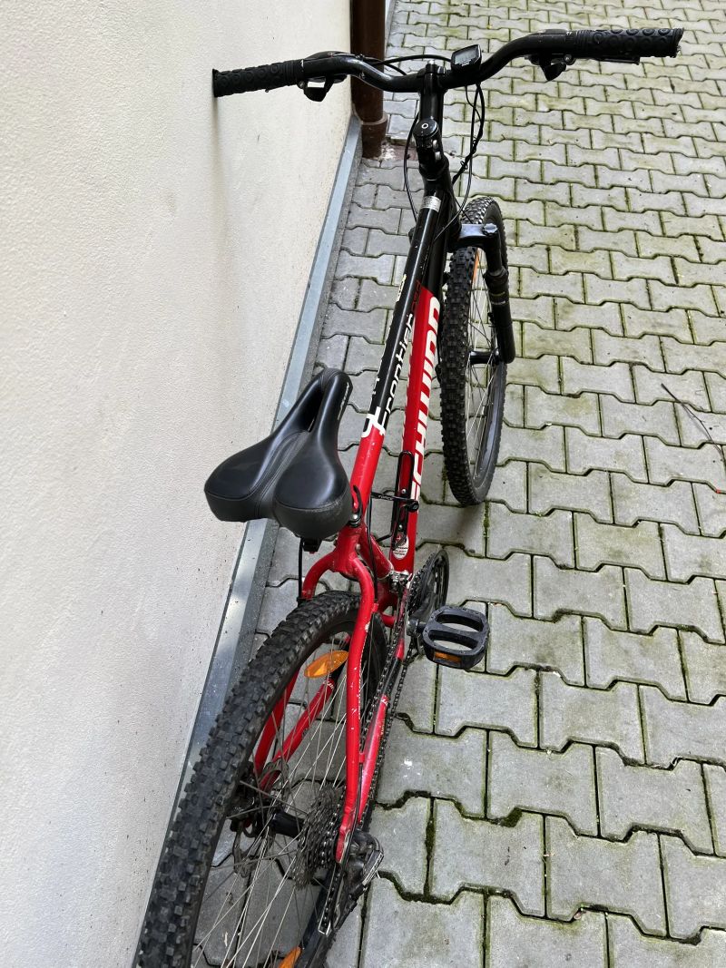 Schwinn