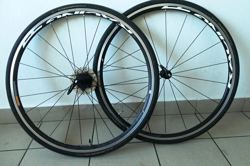 Fulcrum