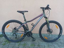 Author Solution ASL 27.5"