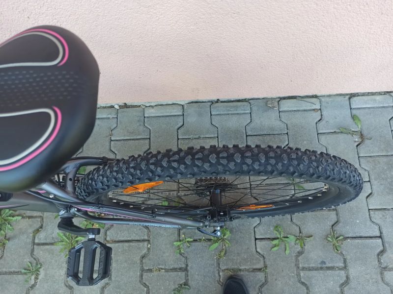 Author Solution ASL 27.5"