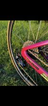 Cinelli Pressure 2 