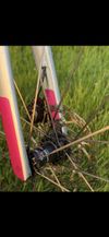 Cinelli Pressure 2 