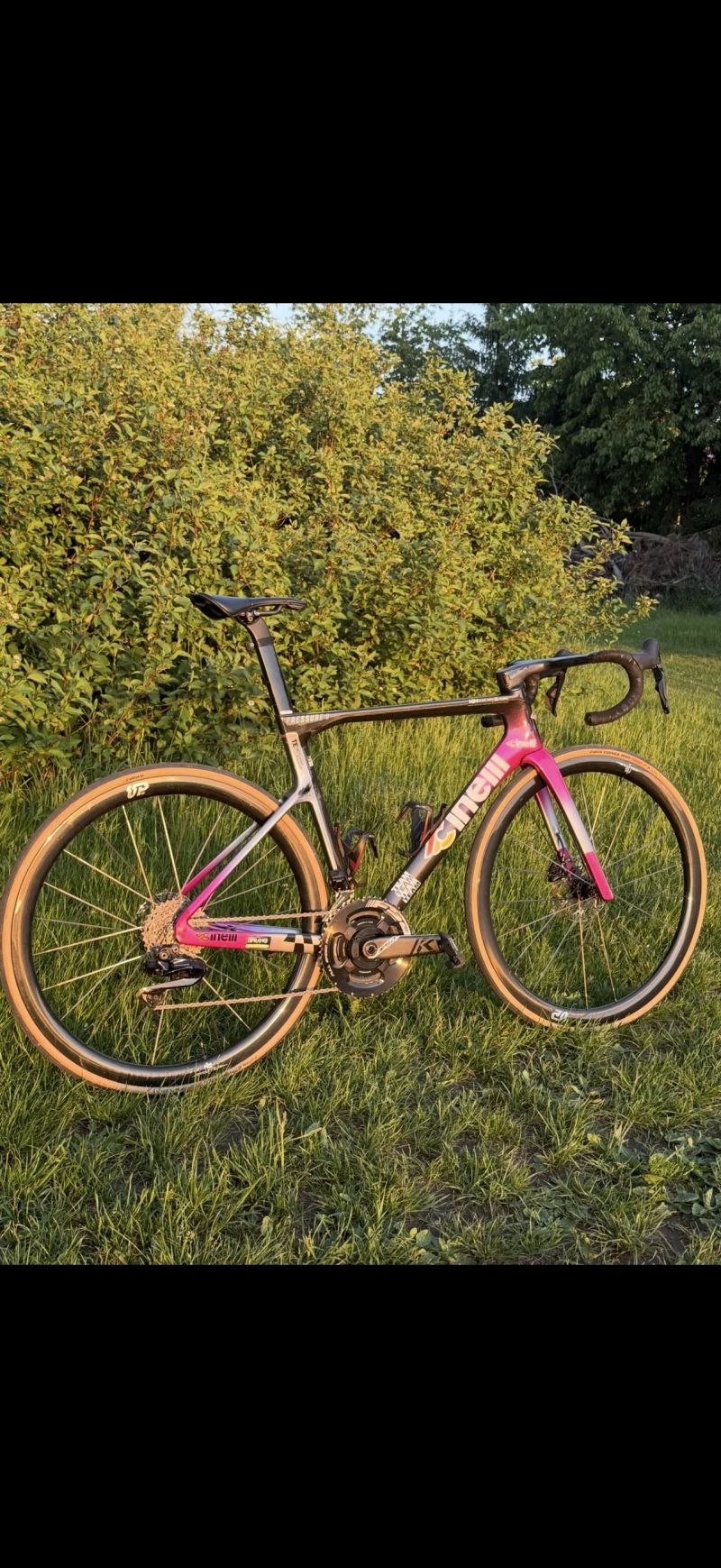 Cinelli Pressure 2 