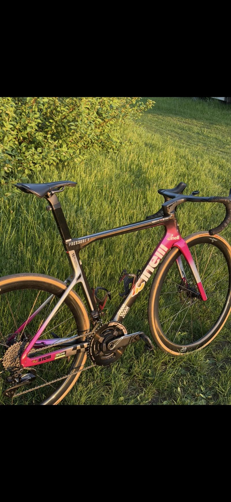 Cinelli Pressure 2 