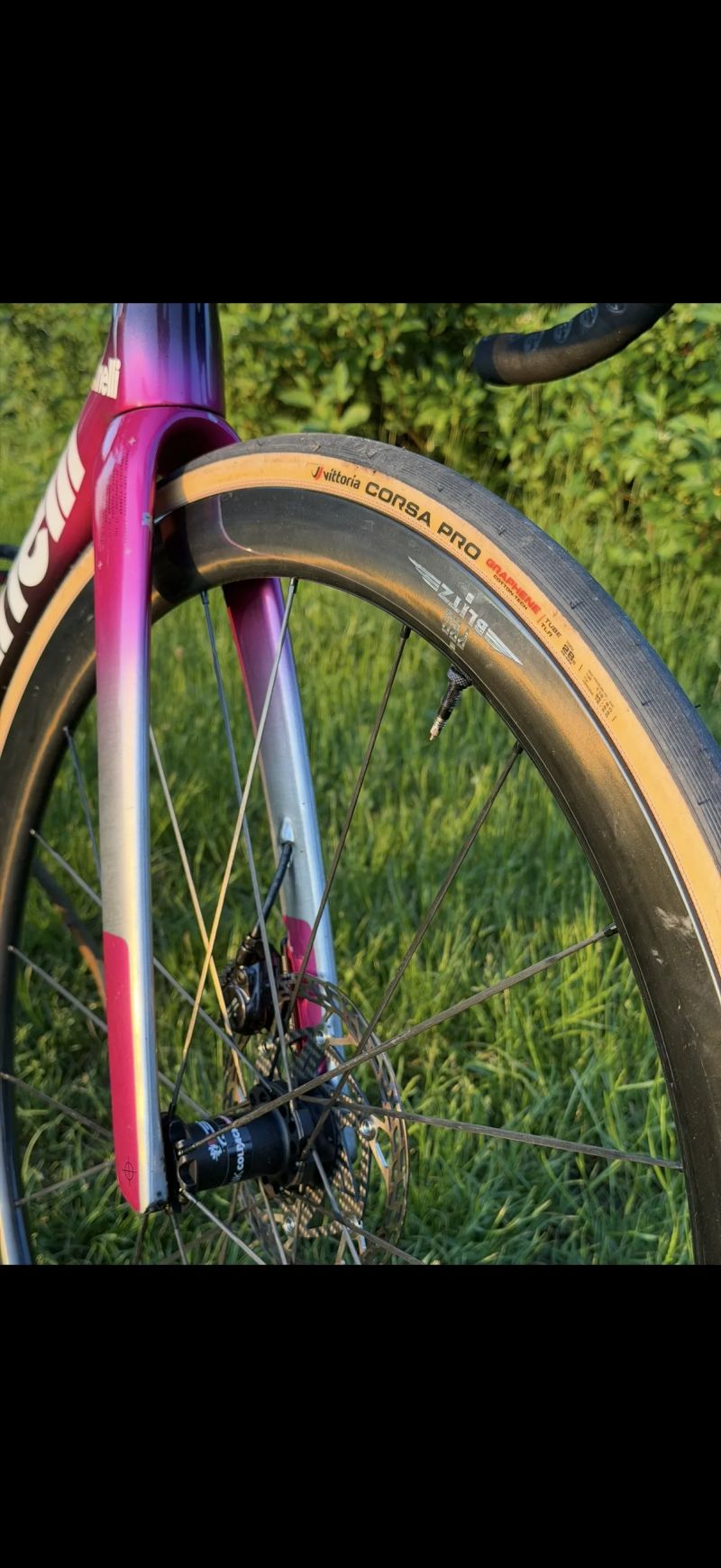 Cinelli Pressure 2 