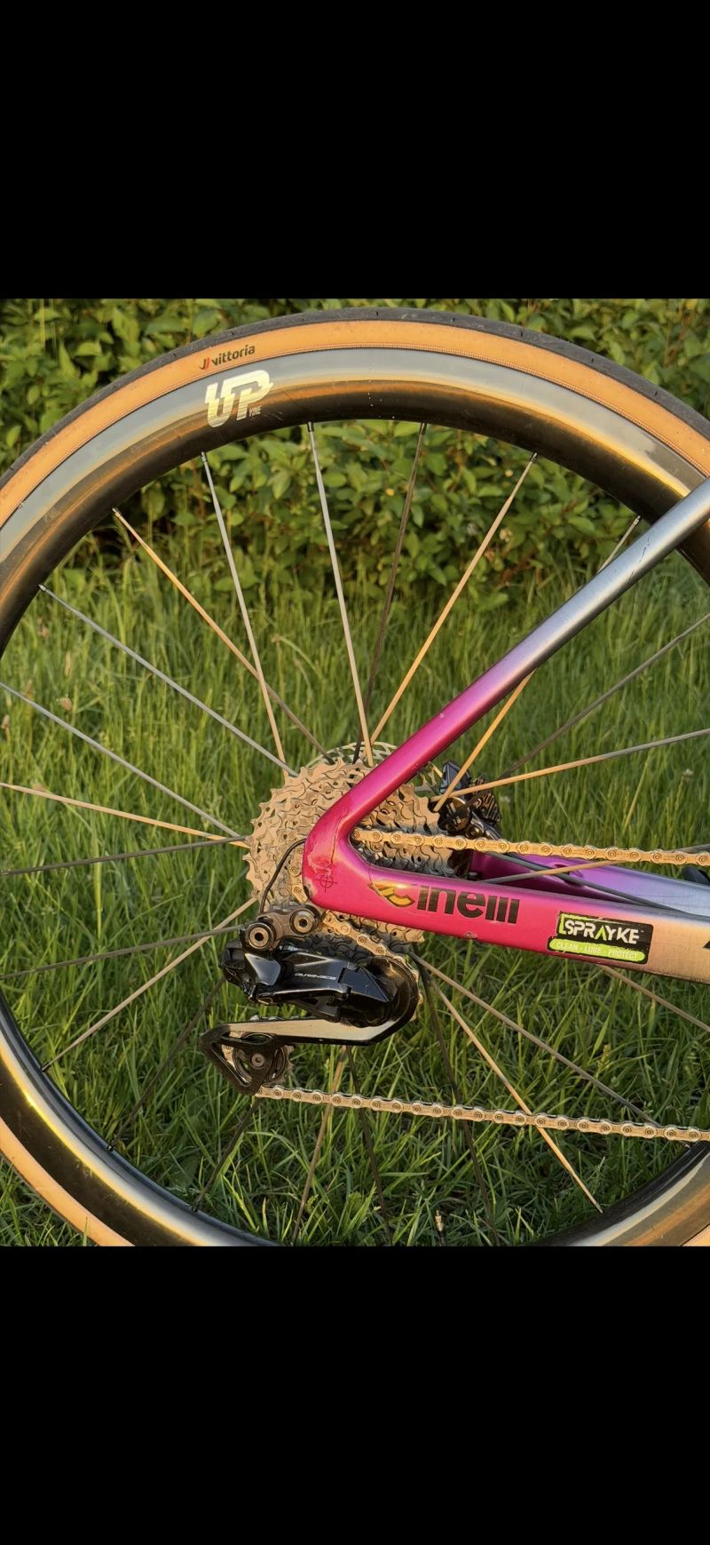 Cinelli Pressure 2 
