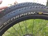Pirelli