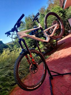 Nukeproof Mega MK4 carbon 290 "L"