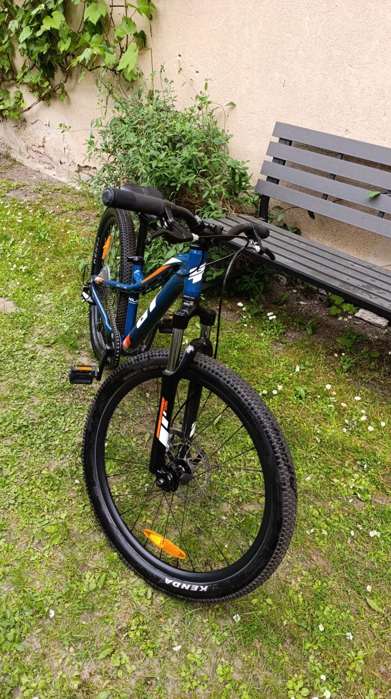 GT Stomper 24" ACE