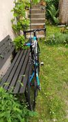 Lapierre Audacio 300
