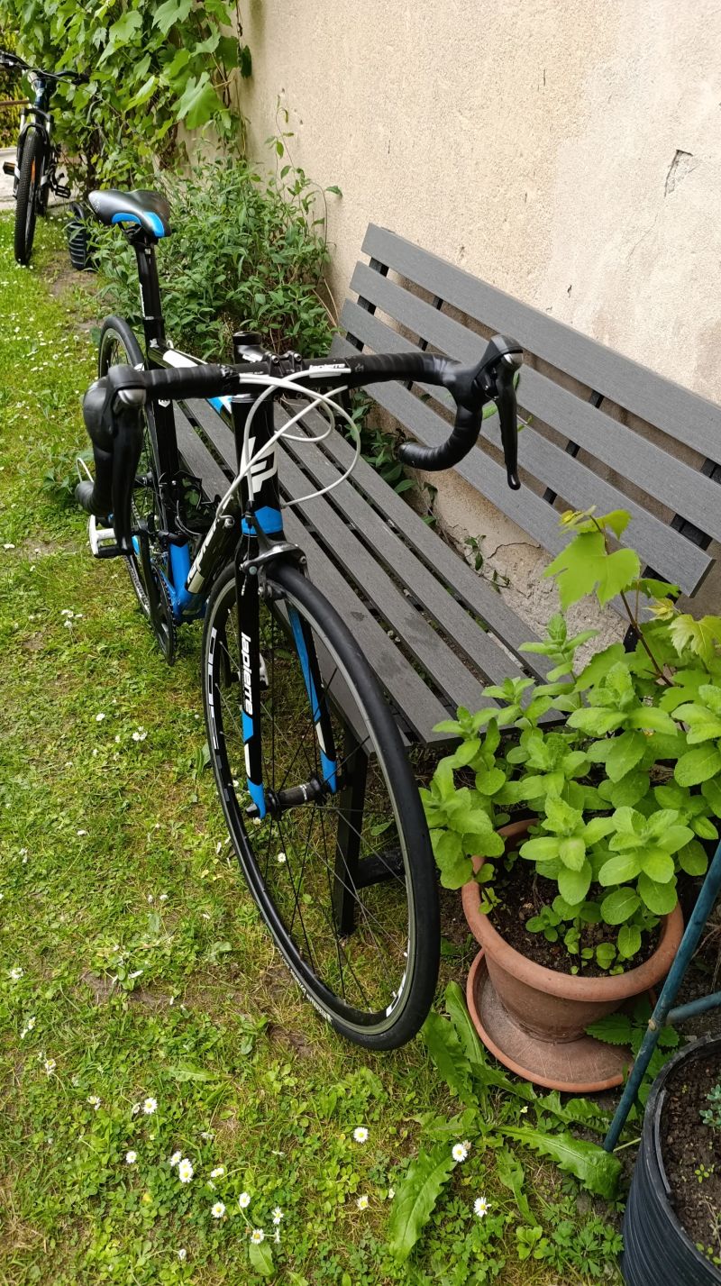Lapierre Audacio 300