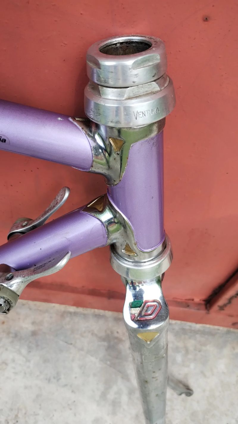 Dancelli Columbus