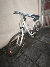 Kellys CLEA 70