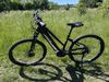 Leader Fox Awalon 29" vel.S