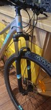 Cube Access WS Pro 29" 2020