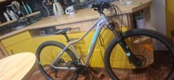 Cube Access WS Pro 29" 2020