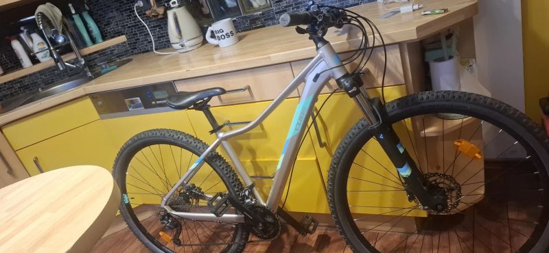 Cube Access WS Pro 29" 2020