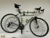 Trek Madone 3.1