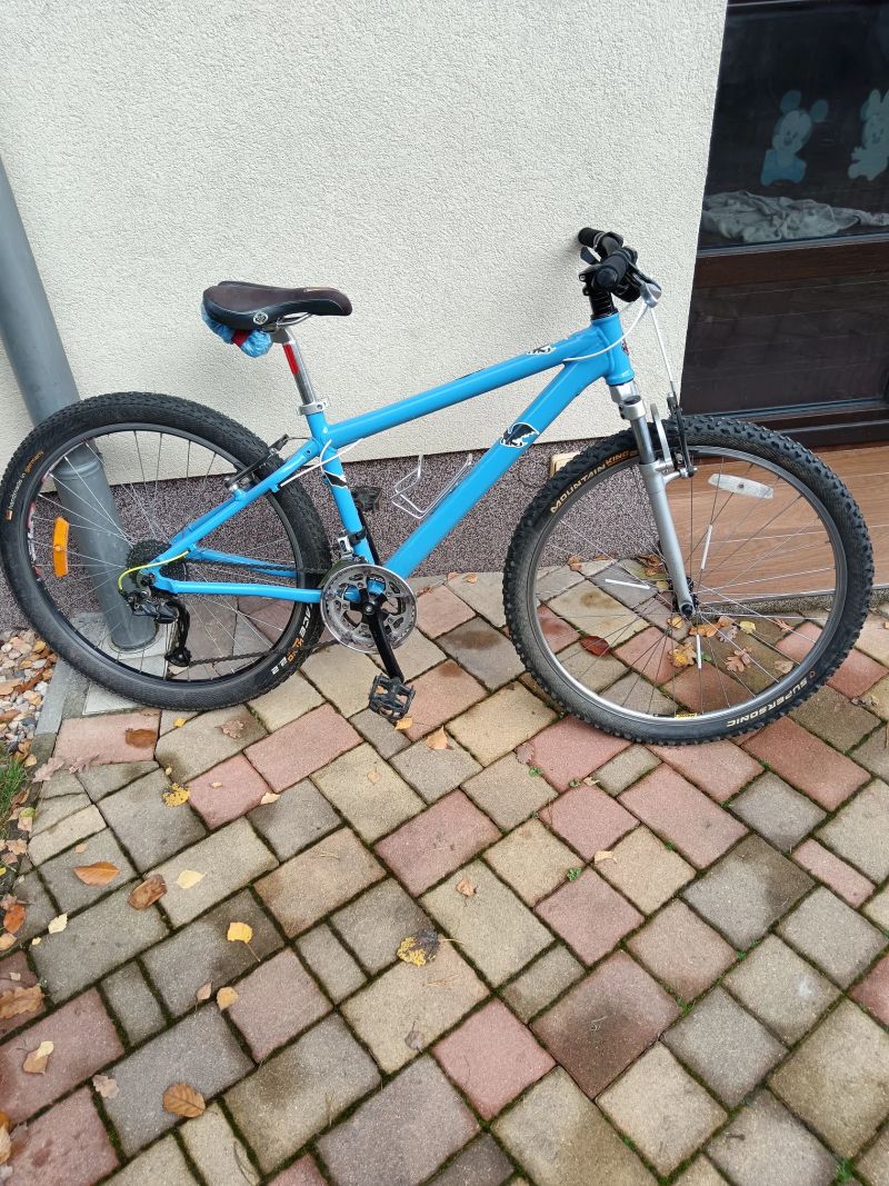 Schwinn